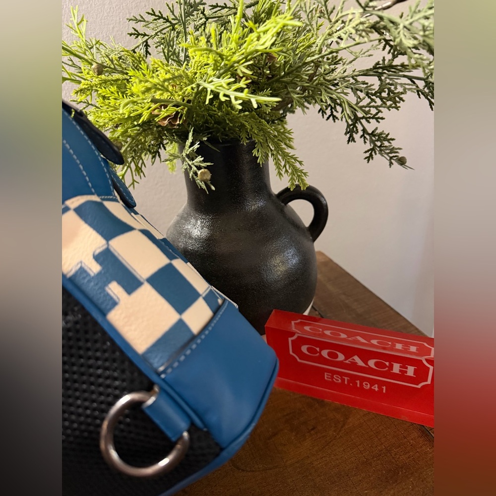 Coach West Pack Checkerboard Sling Bag - Picture 6 of 14